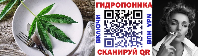 Cannafood конопля  где найти   Кашин 