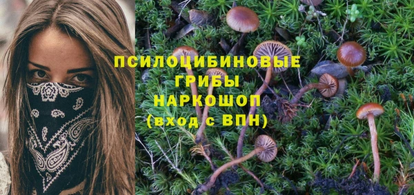 MDMA Армянск