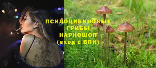 сатива Алзамай