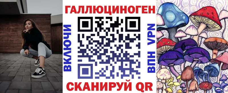 продажа наркотиков  Кашин  это как зайти  Псилоцибиновые грибы ЛСД 
